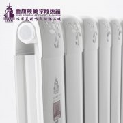 我應(yīng)該選擇什么樣的暖氣?