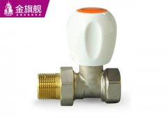 暖氣片配件-內(nèi)外絲溫控閥s